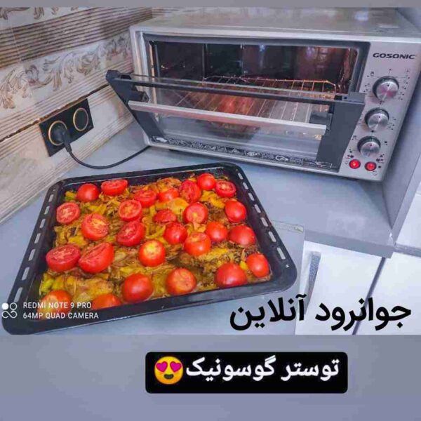 توستر گاسونیک 50 لیتر geo650