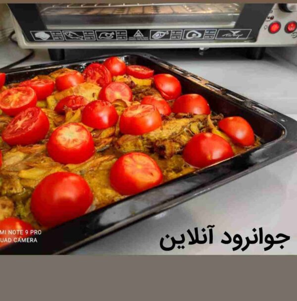 توستر گوسونیک 60 لیتر geo660