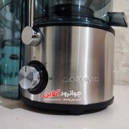 آبمیوه گیر غذاساز گوسونیک 10 کاره Gosonic GFP-730