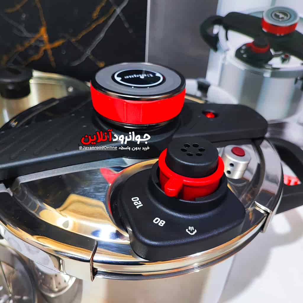 زودپز روگازی 6+4 لیتر یونیک Unique DSTN57